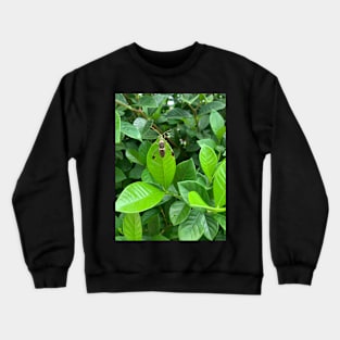 Gardenia and insect Crewneck Sweatshirt